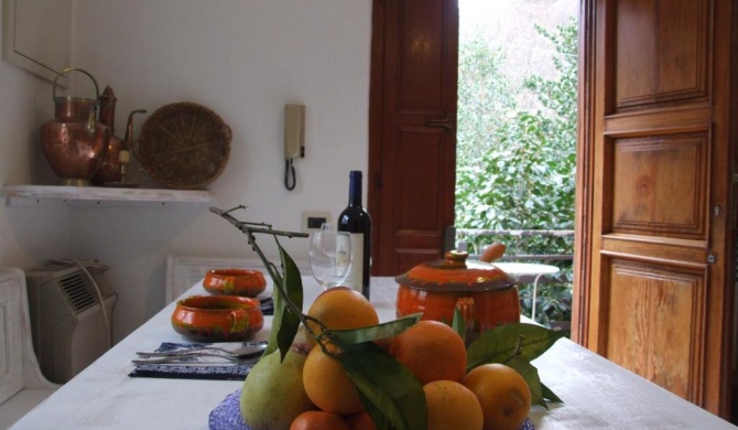 Apartment- Rosa 4+2