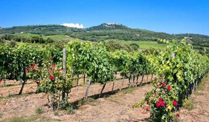 Villa La Quercia-Fresia