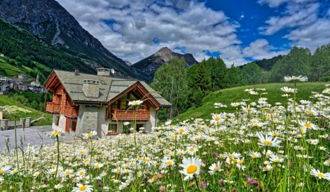 Chalet Taulei