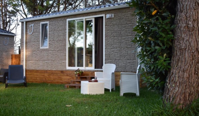 OasiHome