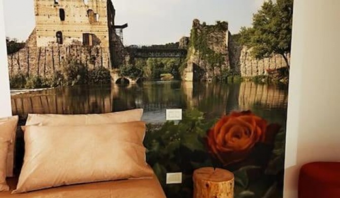 Una Rosa sul Mincio