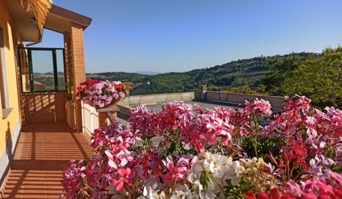 CASA AMBROGI