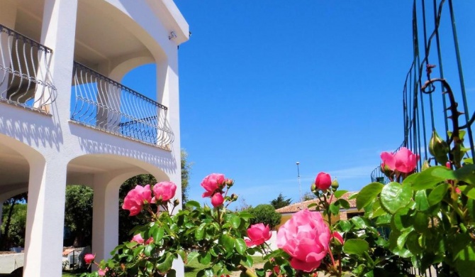Hotel La Tartaruga Bianca