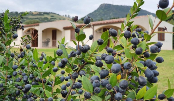 La Casa di Spinosella