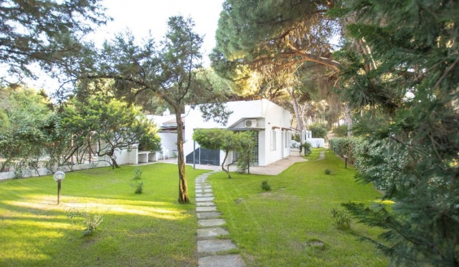Move to Sardinia Villa Eucalipto
