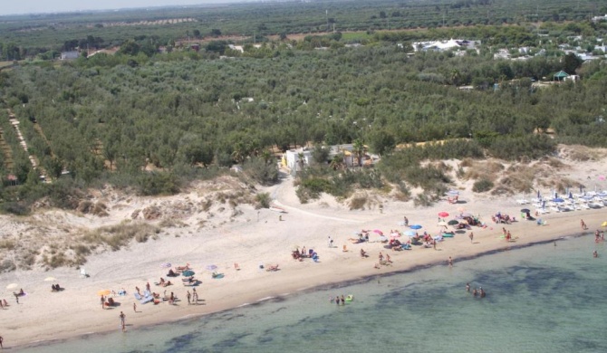 Happy Camp Mobile Homes in Torre Rinalda