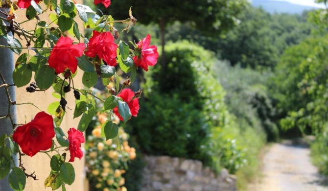 Bed & Breakfast Casa Lisetta