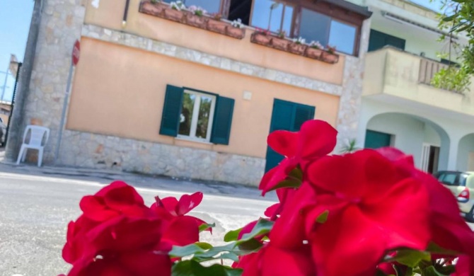 Aparthotel Coletta