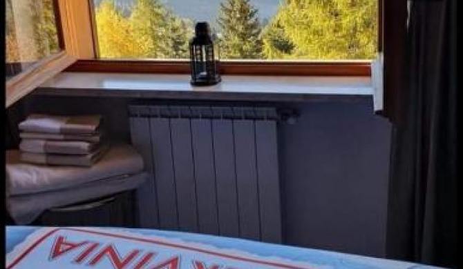 Maison Venera - Relax Appartaments in Valtournenche