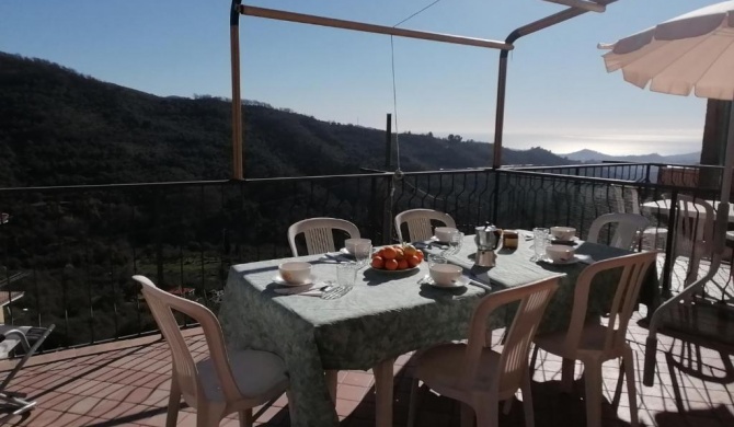 Agriturismo IL POGGIO DI VASIA CITR00864-AGR-0001