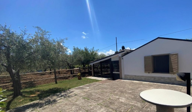 Tenuta Del Casale