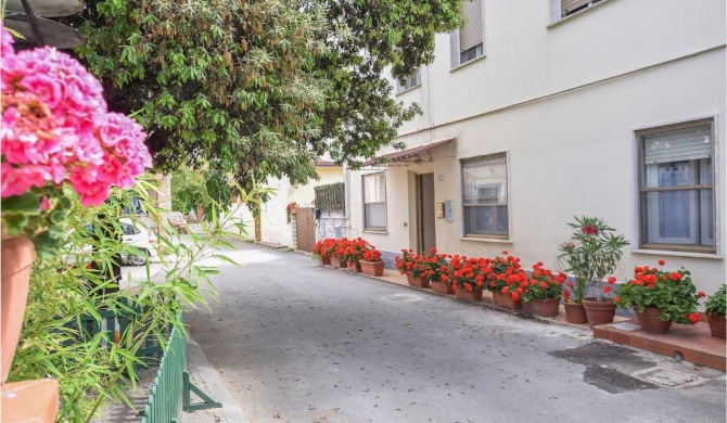 Nice apartment in Vecchiano with WiFi and 1 Bedrooms