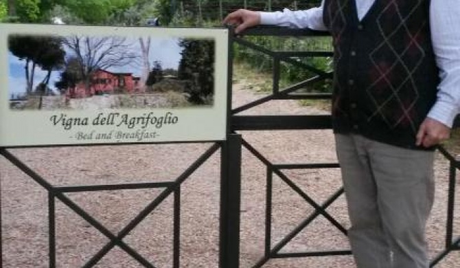 Vigna dell'Agrifoglio - Bed and Breakfast
