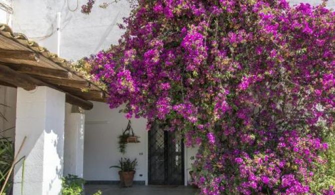 Masseria Bellamarina