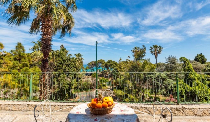 Villa Mina by BarbarHouse